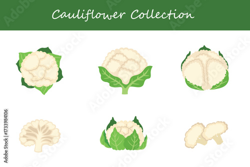 cauliflower collection in different style. Vector illustration.