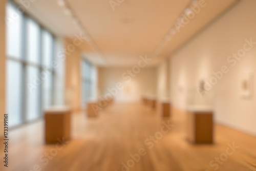 Blurred An empty room in the museum with various collections on display
