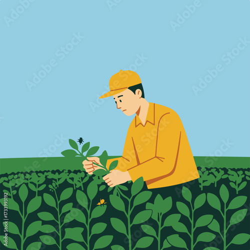 Person in yellow examining plants in a field, with insect detail