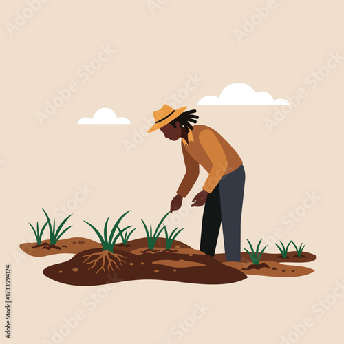 Farmer in hat tends to crops, tending seedlings with visible roots
