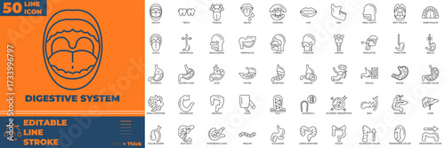 Digestive system line icon set. digestive, digestion, system, anatomy, gut, stomach, intestine