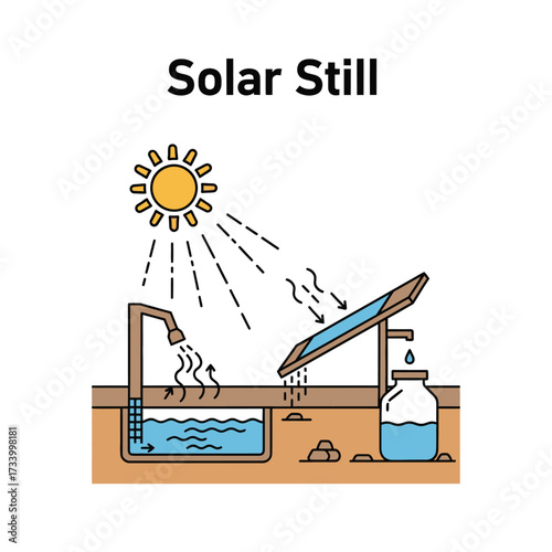 Solar Still Water Purification System Illustration.