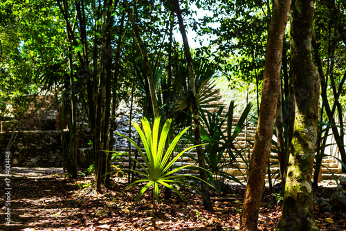 Coba pyramids archeological site in Mexico