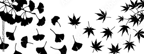 Black silhouette illustrations of autumn leaves isolated on transparent background, autumn illustration set