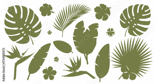 An arrangement of various tropical plant silhouettes, including monstera leaves, palm fronds, hibiscus flowers, and bird of paradise blooms, in a muted green tone.