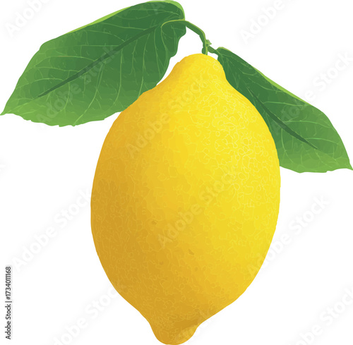 lemon simple flat citrus fruit illustration 