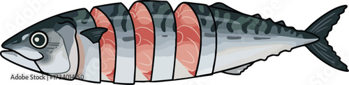 A detailed illustration of a sliced fish, showcasing the internal structure and textures of the seafood.