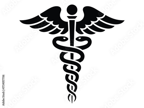 Elegant Snake And Rod Symbol For Professional Healthcare Branding