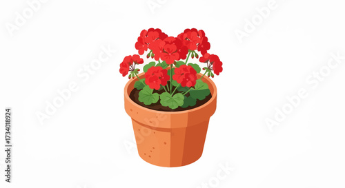 Illustration of a potted geranium plant with red flowers and green leaves.