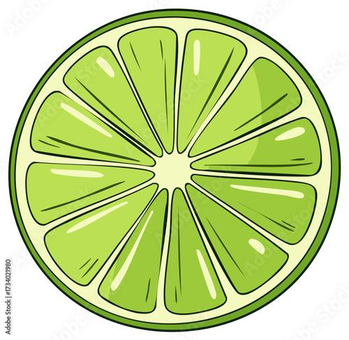 Illustration of a bright green lime slice with many segments and a white background