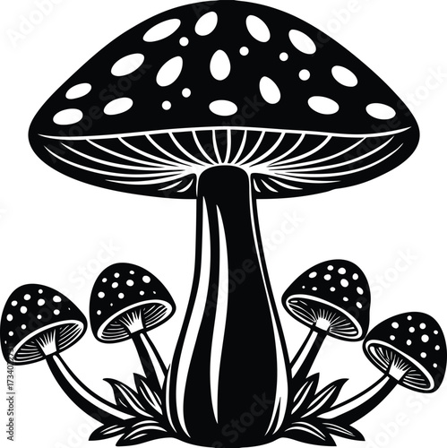 Whimsical illustration of red and white spotted mushrooms growing in a grassy field
