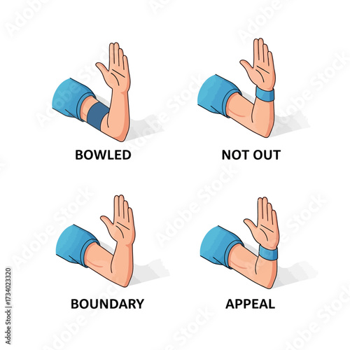 Illustrations of umpire signals in cricket showing 'Bowled', 'Not Out', 'Boundary', and 'Appeal' with arm gestures.