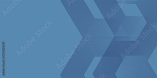 Dark blue hexagon line on blue light background. Technology website digital concept. Modern hexagon geometric lines. EPS 10 Vector.