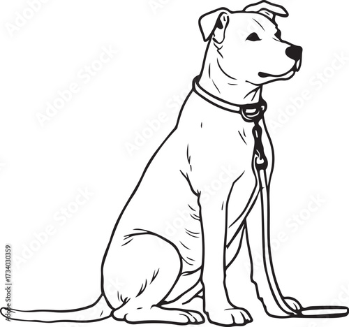 Dog on Leash in Collar Simple Hand-drawn Sketch Doodle Drawing Vector Illustration, Black and white Line Linear Isolated Art
