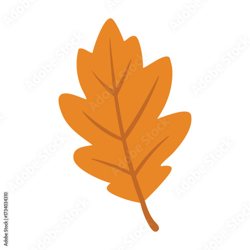 Orange oak leaf in simple flat doodle style, autumn foliage with veins, isolated on white background.