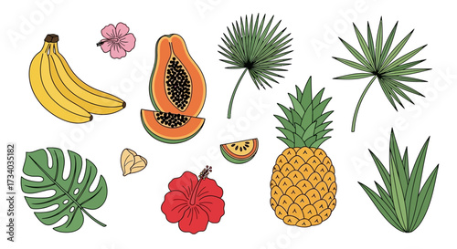 Tropical illustration featuring fresh fruits, vibrant flowers and lush green leaves on white
