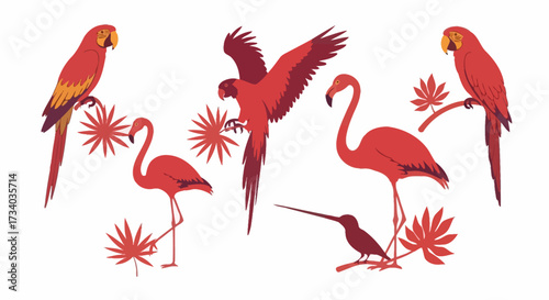 Illustration of tropical birds including parrots flamingos and a hummingbird with foliage
