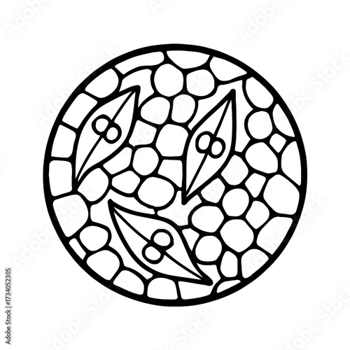 Microscopic Organisms in Petri Dish Outline Icon Vector - Symbol for Microbiology and Science Research