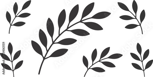 Black botanical leaves scattered on white surface