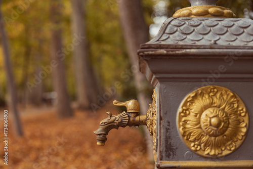Close-up of ornate rusted iron water fountain.