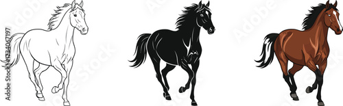 Three horses depicted in different styles sketch silhouette and realistic full color rendering showcasing artistic versatility and breed purity vector