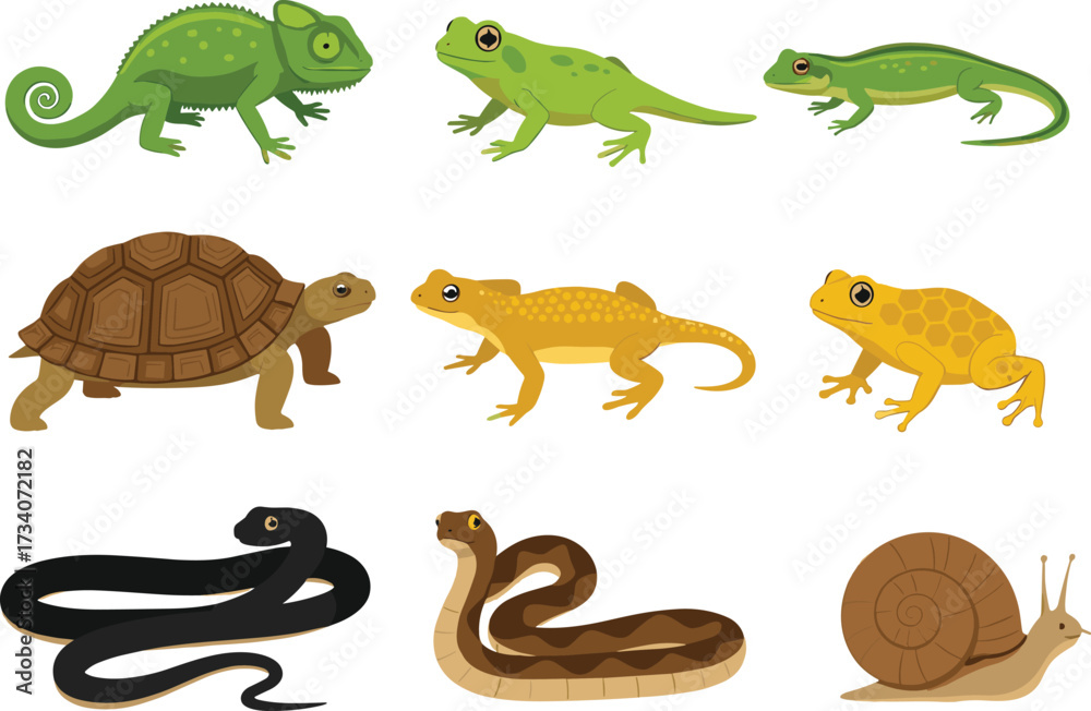 Obraz premium Cartoon reptiles, amphibians, and mollusks illustration with chameleon, frog, lizard, tortoise, snake, snail in colorful style for education use