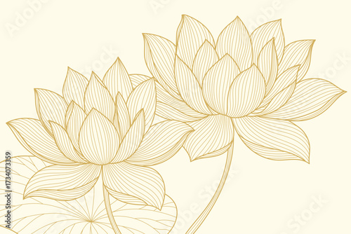 Gold line lotus flower and floral outline bloom for serene decor. Botanical minimalist and elegant art with lines by hand. Luxury lotus illustration for branding and invites or spa design.