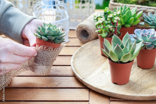 Florist at work: woman shows how to make cute home decorations with succuletnt plants. Step by step, tutorial.