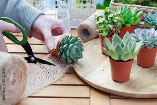 Florist at work: woman shows how to make cute home decorations with succuletnt plants. Step by step, tutorial.