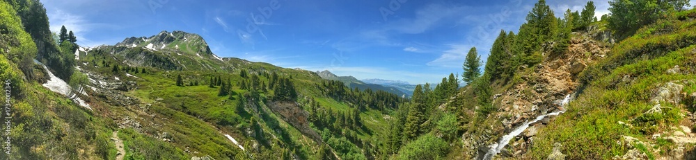 Fototapeta premium Panoramic view of mountain landscape with forest, meadow, and cascading stream