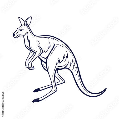 A detailed black and white sketch of a kangaroo standing on its hind legs