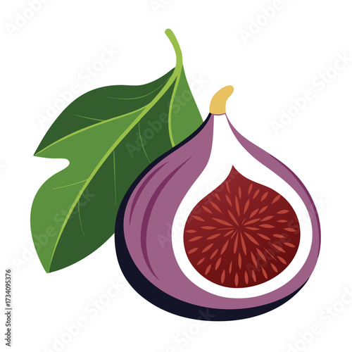 realistic fig fruit illustration cut in half