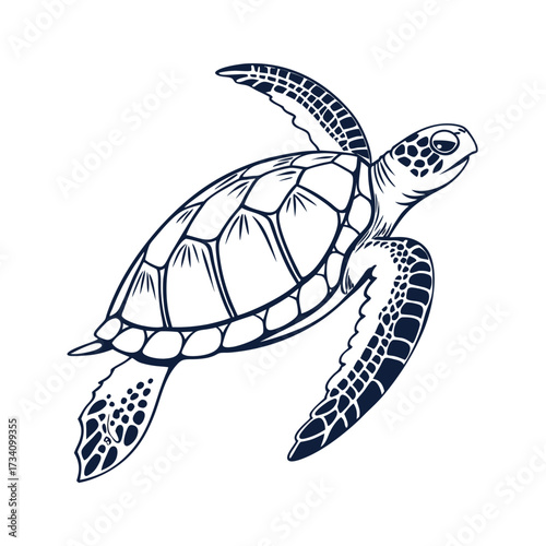 Detailed black and white illustration of a sea turtle swimming gracefully through the ocean