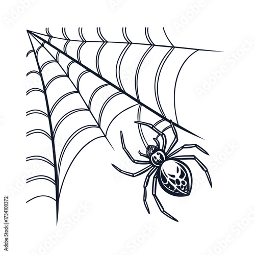 Detailed illustration of a spider patiently waiting on its intricate web in a corner