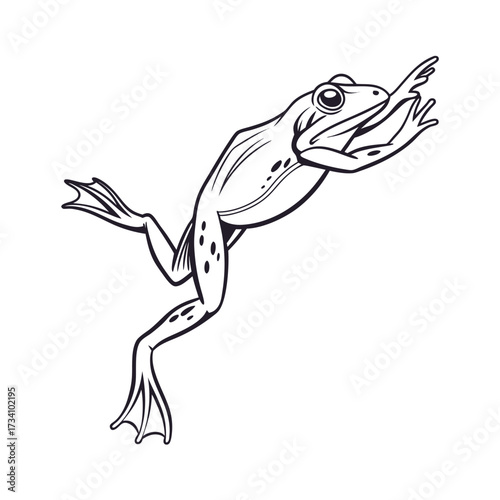 Dynamic black and white illustration of a frog leaping with extended limbs