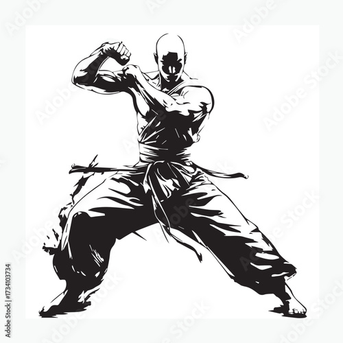 silhouette of shaolin boy