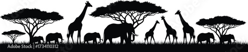 African savanna silhouette with elephants, giraffes, acacia trees, grassland, black and white vector illustration for wildlife and nature themes