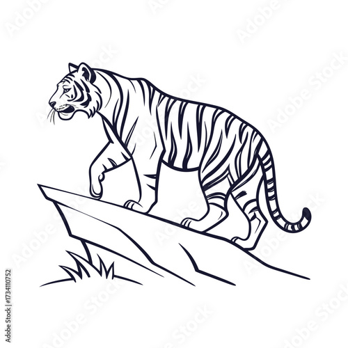 Striking black and white illustration of a tiger standing on a rocky outcrop