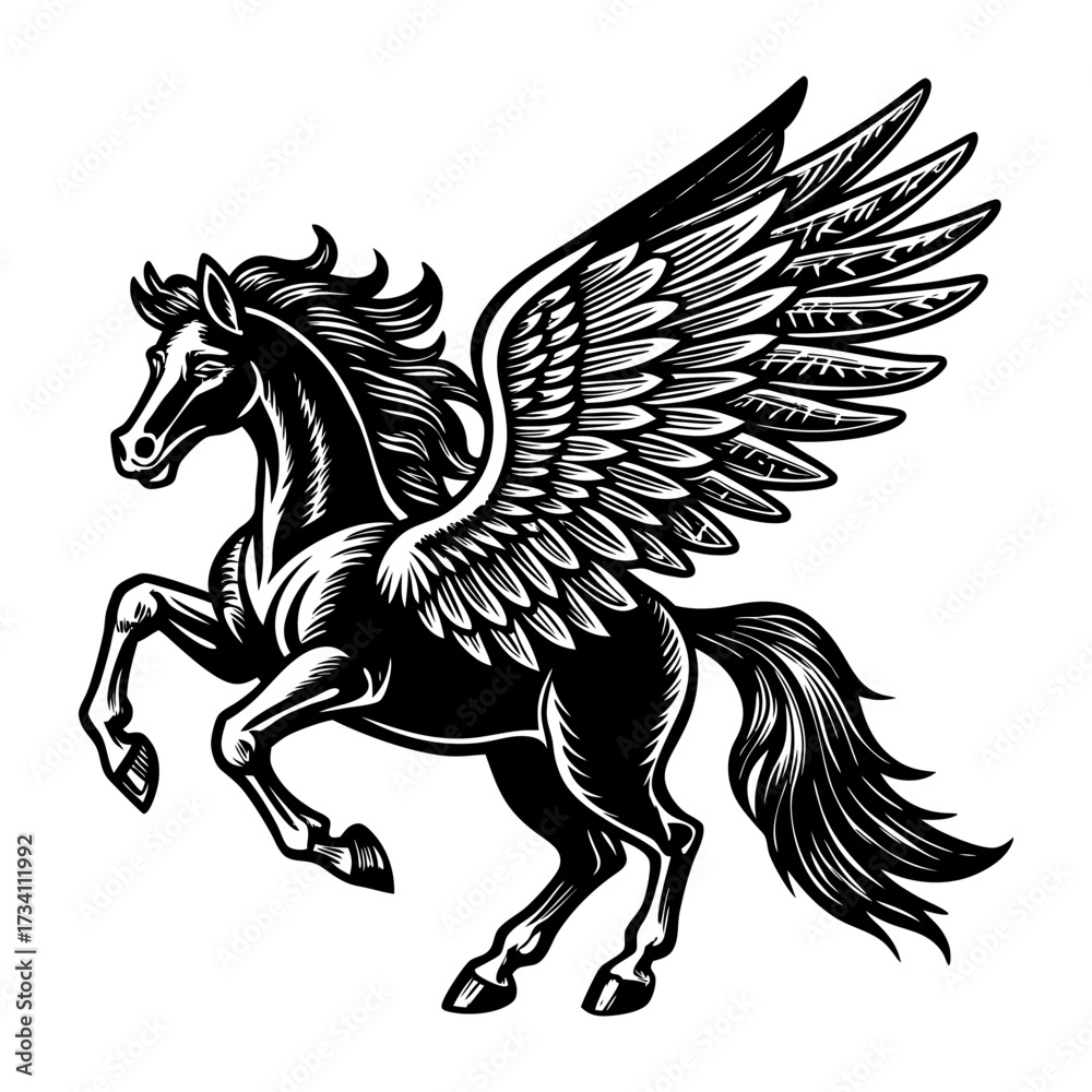 Fototapeta premium Pegasus