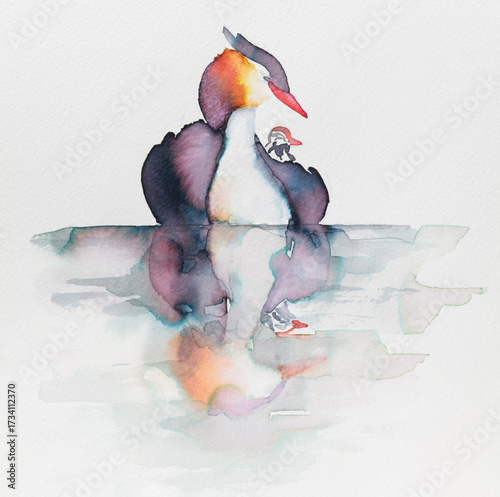Wallpaper Mural Colorful watercolor painting of a bird great crested grebe standing still on tranquil water Torontodigital.ca