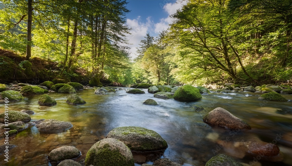 Fototapeta premium Tranquil Forest River Scene