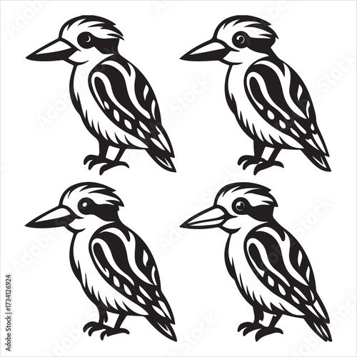 An Iconic Australia Laughing Kookaburra Bird, a Terrestrial Kingfisher with a Prominent Beak and Large Head, the Symbol of the Bush Bird Wildlife