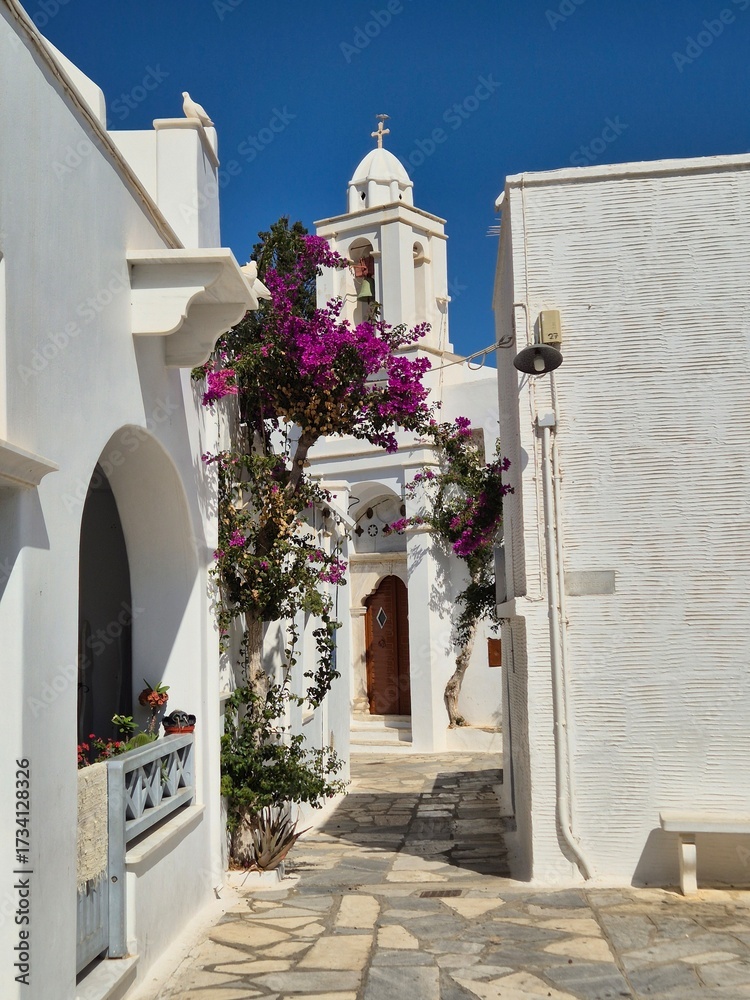 Fototapeta premium Narrow street in traditional white Greek village