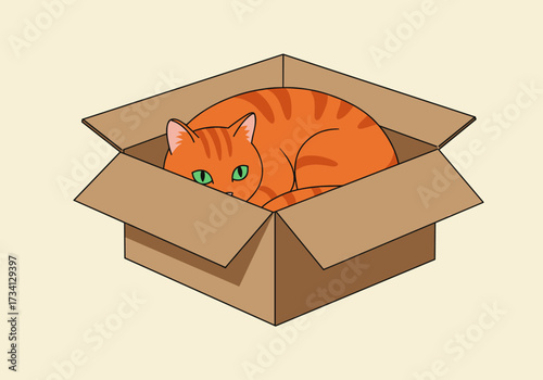 Playful cat in a cardboard box indoor setting illustrative cozy environment whimsical viewpoint