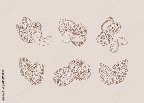 Nuts set almond, cashew, hazelnut, peanut, pistachio, walnut drawing in graphic floral style on brown background