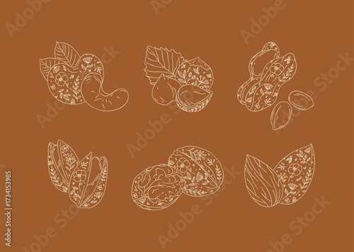 Nuts set almond, cashew, hazelnut, peanut, pistachio, walnut drawing in graphic floral style on orange background