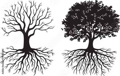Silhouette of Tree with Roots Oak Beech Forest Nature Vector
