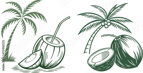 Exotic Island Palm Trees Bearing Fresh Coconuts in Vintage Style