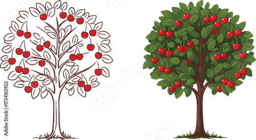 Cherry tree illustration, fruit tree drawing, garden plant art, red berries design, botanical foliage, orchard tree sketch, cad drawing flat vector illustration