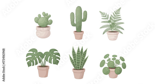 Vector art of collection of potted houseplants